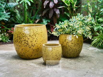 Mina Round Planter Swamp Green