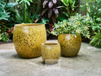 Set of 3
