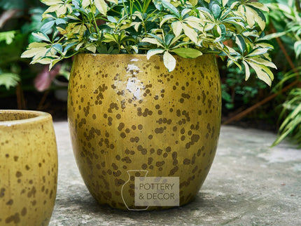 Mina Round Planter Swamp Green