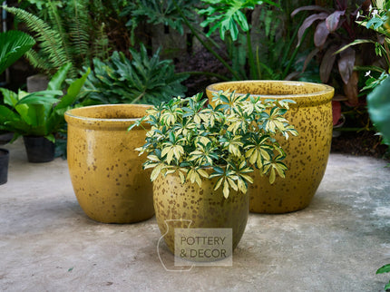 Elsworth Round Planter Swamp Green