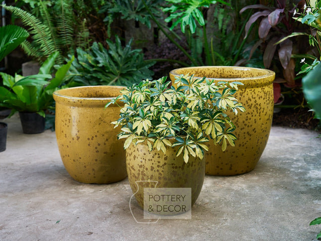 Elsworth Round Planter Swamp Green