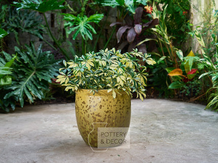 Elsworth Round Planter Swamp Green