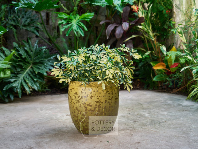 Elsworth Round Planter Swamp Green