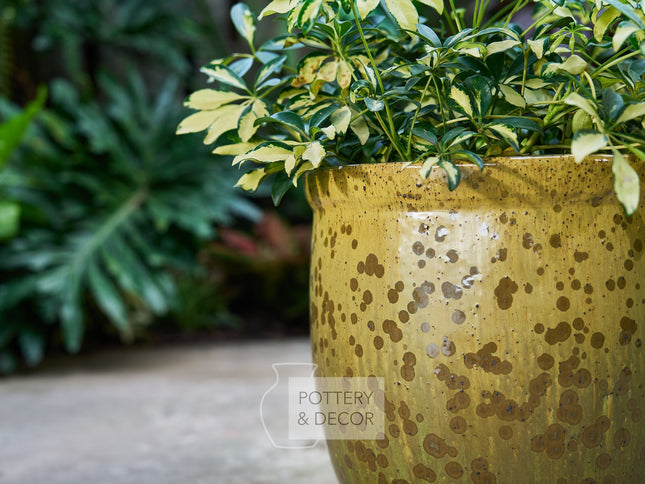 Elsworth Round Planter Swamp Green