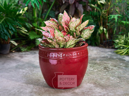 Rodolfo Round Planter Red