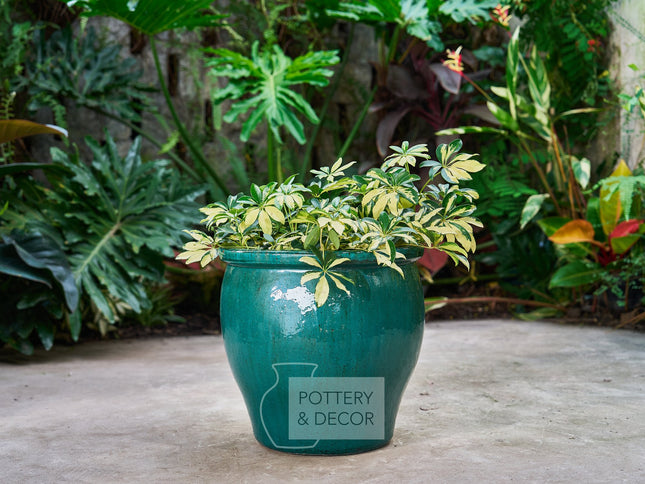Dennis Round Planter Majestic Green