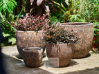 Set of 4
