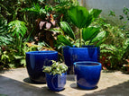 Set of 4