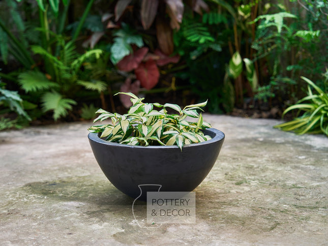 Holleran Low Bowl Matte Black