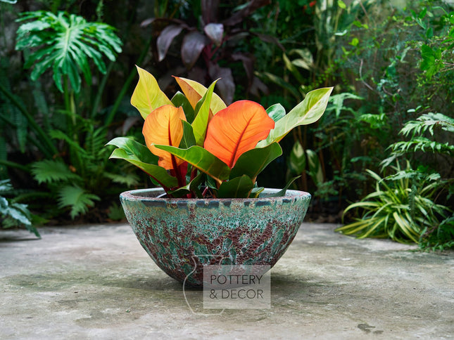 Holleran Low Bowl Atlantic Green Rust