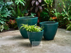 Set of 3