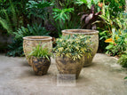 Set of 4