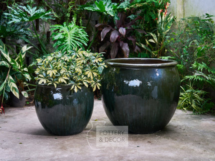 Big Bowl Round Planter Moss Green
