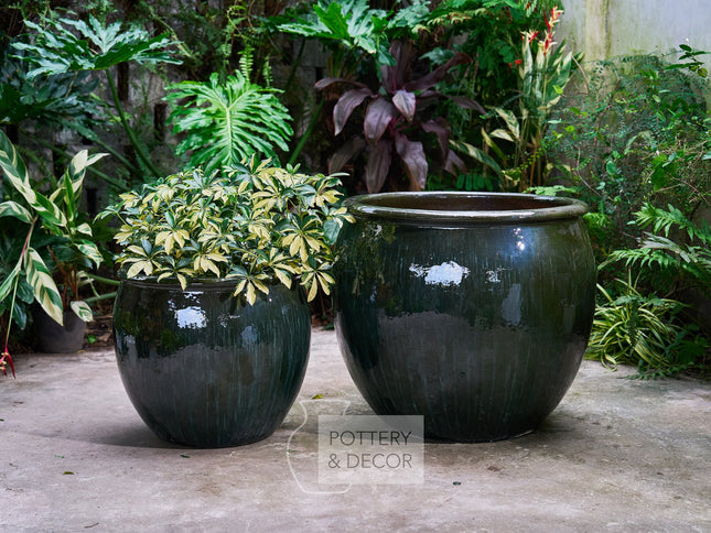 Big Bowl Round Planter Moss Green