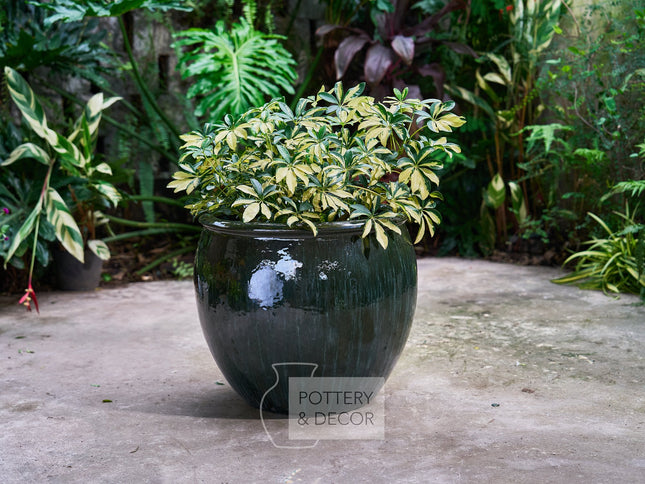 Big Bowl Round Planter Moss Green