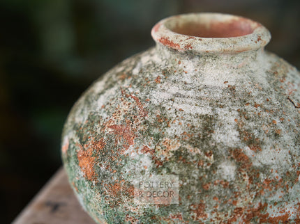 Lieb Round Jar Baja Moss