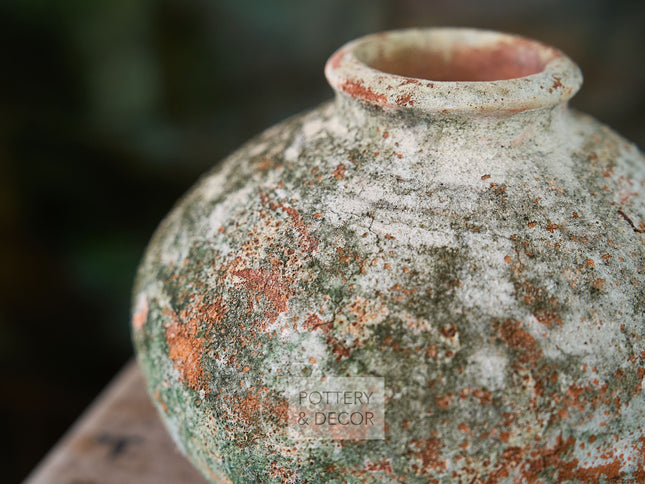 Lieb Round Jar Baja Moss