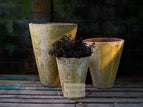 Set of 3