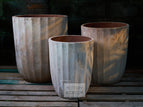 Set of 3
