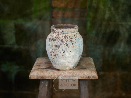 Jonquil Accent Baja Aqua