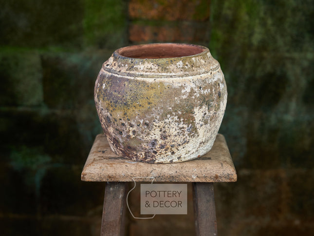 Shelly Round Planter Baja Verde
