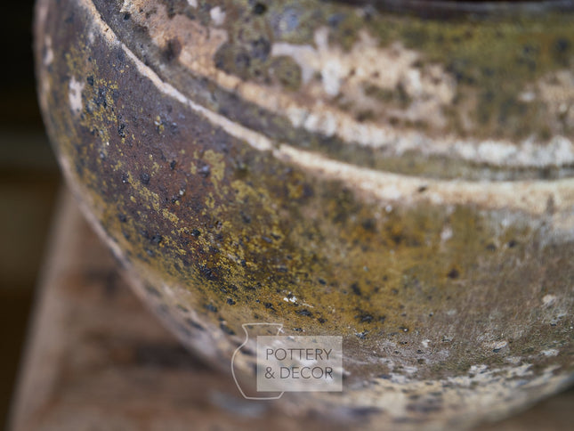 Shelly Round Planter Baja Verde