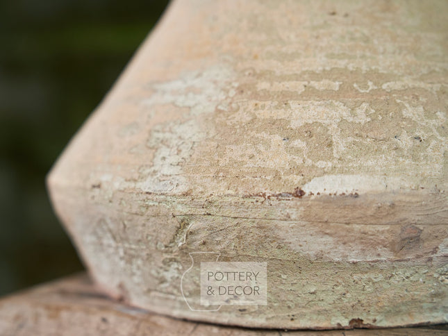 Cove Accent Earth White
