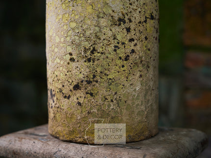 Cour Accent Baja Yellow