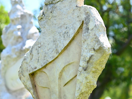 Hidden Face of Nature