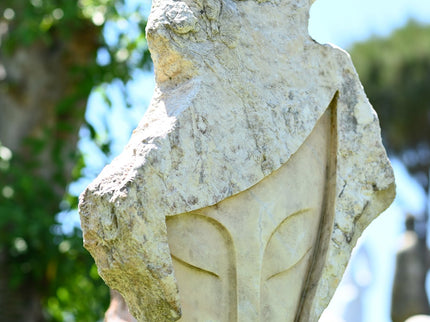 Hidden Face of Nature
