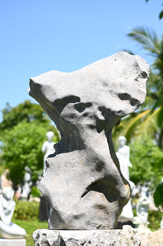 Face of Timeless Wisdom